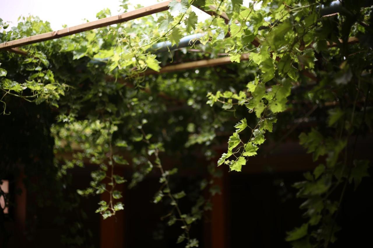 Auberge Jaafar Midelt Exterior foto